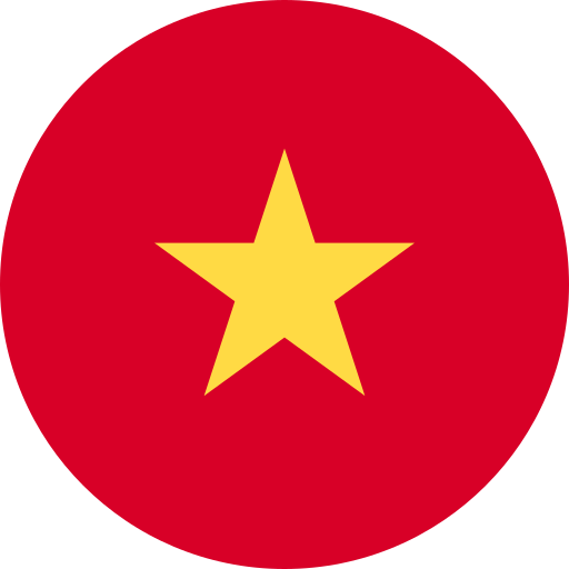 Vietnam web design